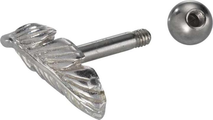 Image du produit Bijouteria Piercing d'oreille (Acier inoxydable, Laiton)