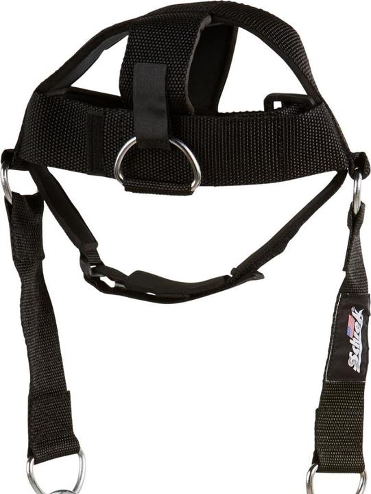 Actual product image Schiek Head Harness Model 1500 (One size)