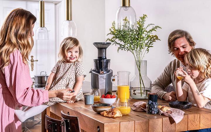 Actual product image Dahlert Slow Juicer DT-SJ-19