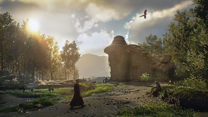 Actual product image WB Hogwarts Legacy (PS4, DE, FR)