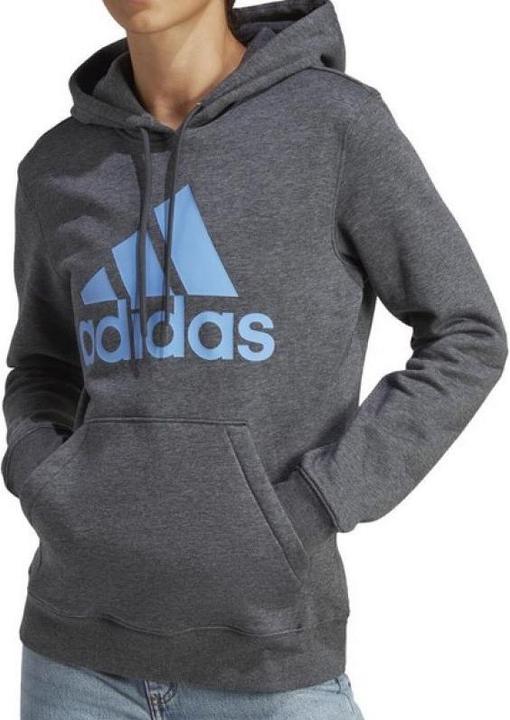 Produktbild Adidas Sweatshirt mit grossem Logo FL R HD (XS)