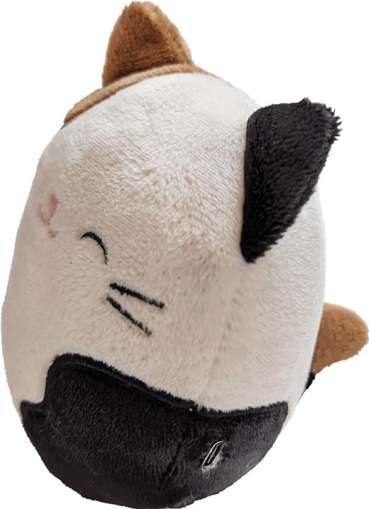 Actual product image Squishmallows Plush Bluetooth Speaker - Cameron (608092) (10 h)
