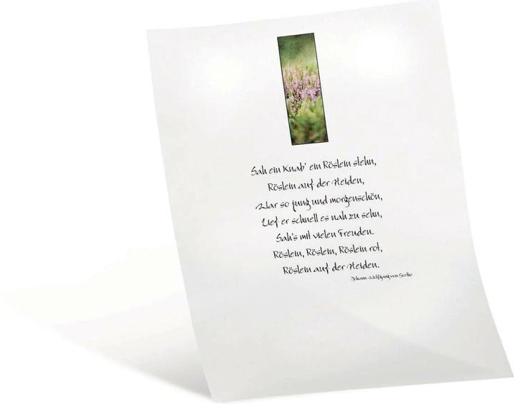 Produktbild Folia Transparentpapier extra stark weiss (115 g/m², A4, 10 x)