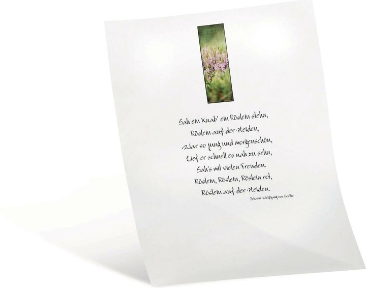 Actual product image Folia Transparent paper extra strong white (115 g/m², A4, 10 x)