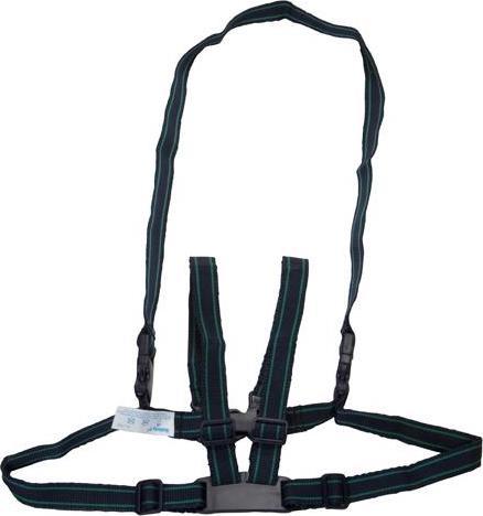 Actual product image Safety 1st Running and protective belt set