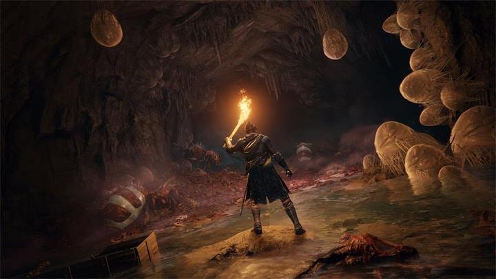 Immagine prodotto Bandai Namco Elden Ring (PC, DE, IT, FR)