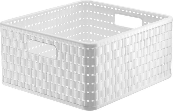 Immagine prodotto Rotho Paese (30 cm, 1x)