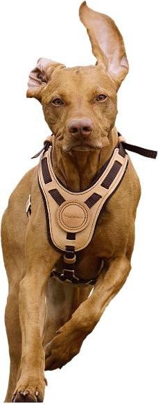 Produktbild Niggeloh Führgeschirr Mantrailing (L, XL, Hund)