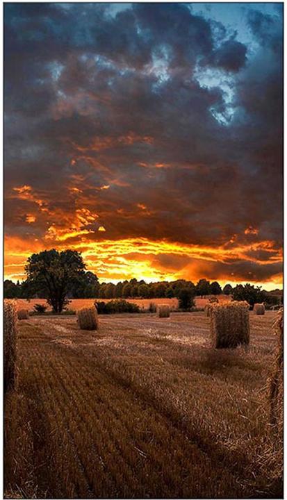 Actual product image Samsung VM55B-U (1920 x 1080 pixels, 55")