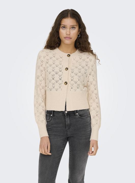 Produktbild JdY JDYAMANDA Strickjacke Strickjacke (L)