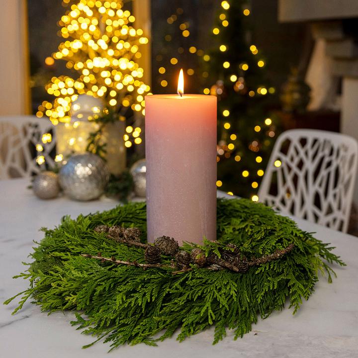 grüne thuja Thuja Smaragd kaufen – schmale Hecke main image 0