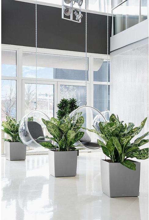 Productafbeelding Lechuza Kubus (39 x 39 x 40 cm)