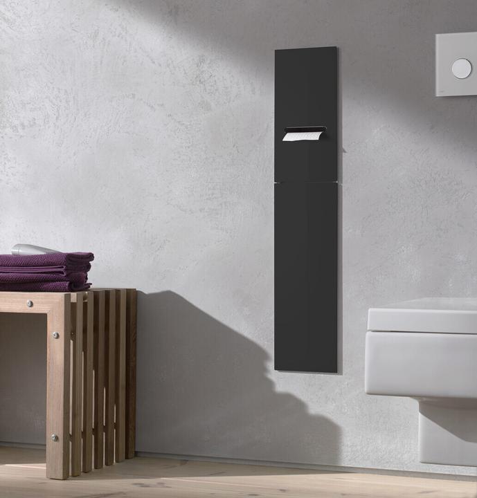 Produktbild Emco Unterputz Toilettenpapierhalter 975427451