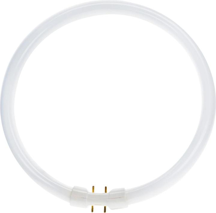 Philips Master TL5 Circular (2GX13, 5000 lm, 1 x)