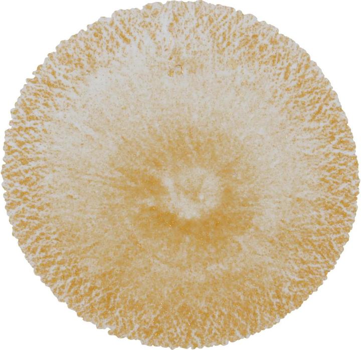 Produktbild Cernit Alkoholtinte