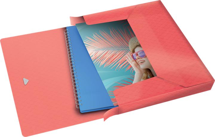 Actual product image Esselte Box File Colour'Breeze (A4, 1x)