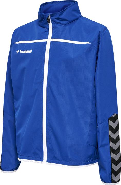 Trueblue