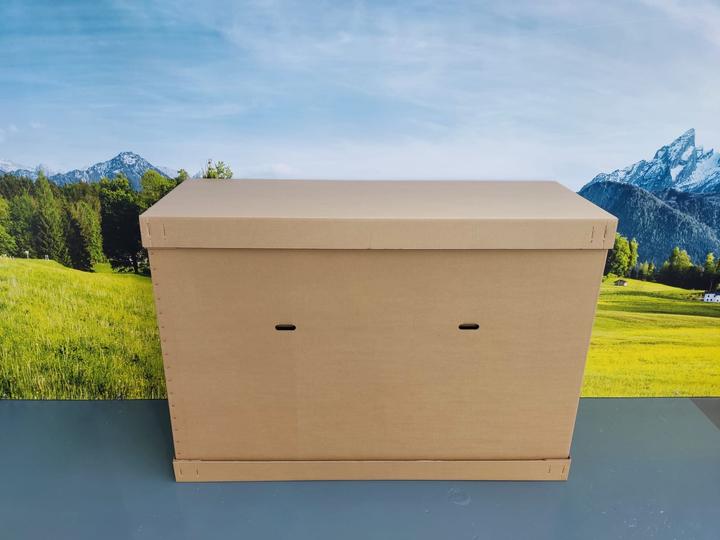 Produktbild Bulls Twenty8 EVO 45 Schweiz (60 cm)