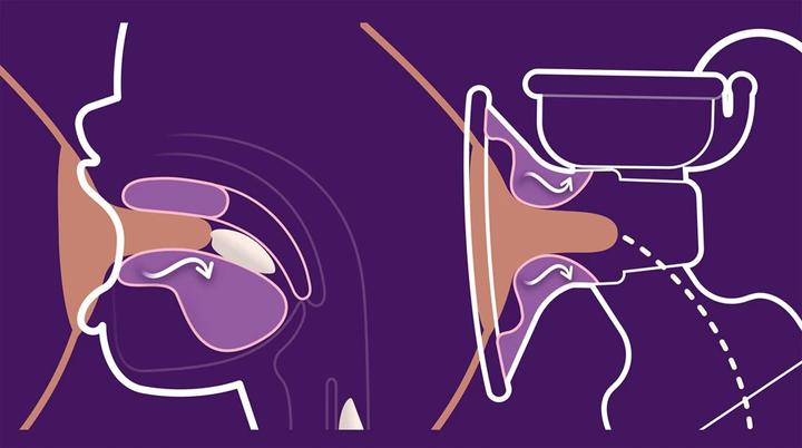 Actual product image Philips Avent Breast Pumps DUO