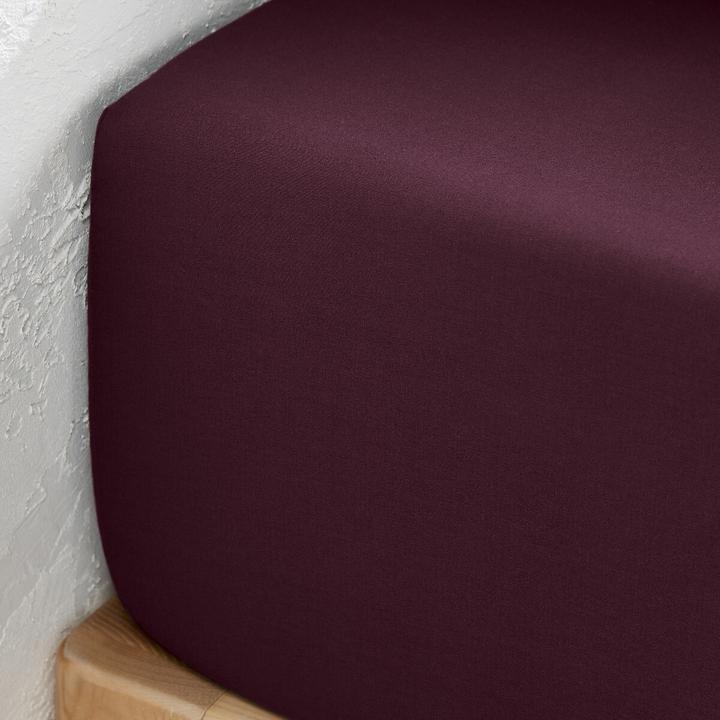 Produktbild La Redoute Interieurs Percale Unie Best (180 x 200 cm)