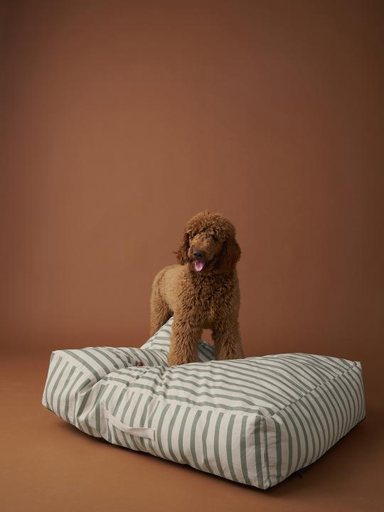 Produktbild Vertbaudet Hundebett XXL mit gestreiftem Bezug, abnehmbar (Hund)