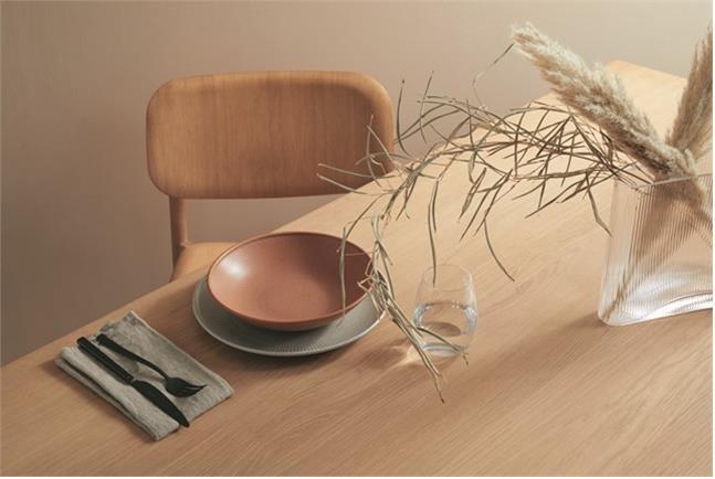 Actual product image Thomas Dinner plate Ø27 cm - Clay Earth (1 pcs.)