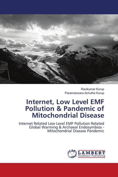 Produktbild Internet, Low Level EMF Pollution & Pandemic of Mitochondrial Disease (Parameswara Achutha Kurup, Ravikumar Kurup, 2021)