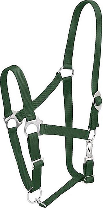 Image du produit Firefoot - Licol ECONOMY