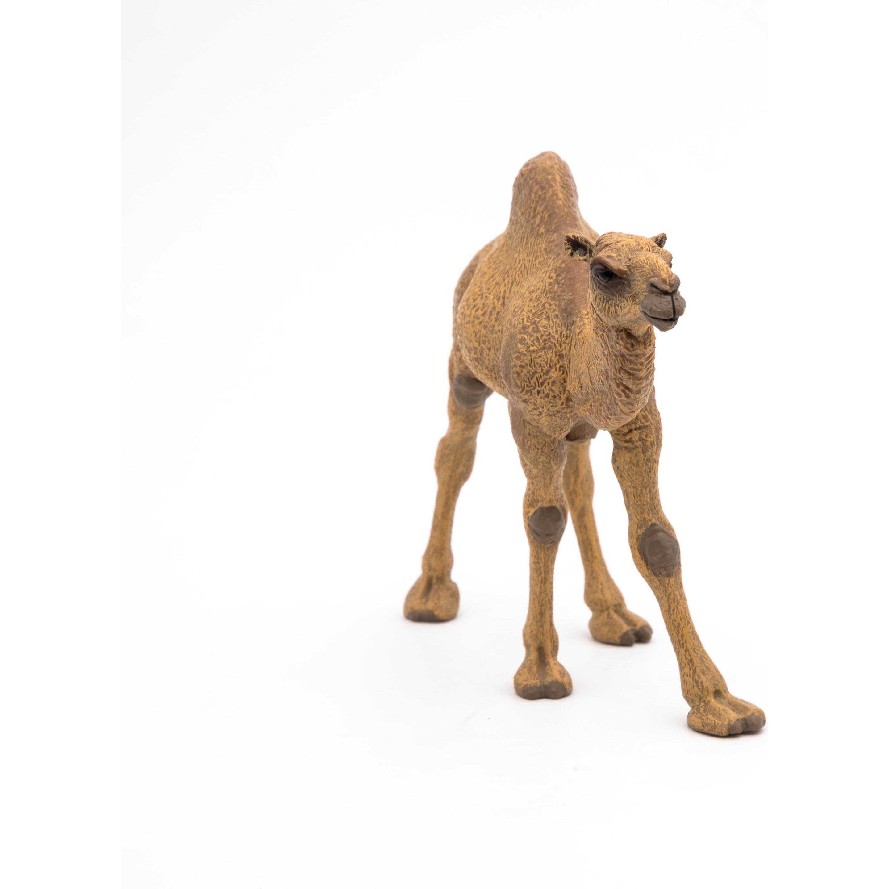 Thumbnail - Papo Dromedar