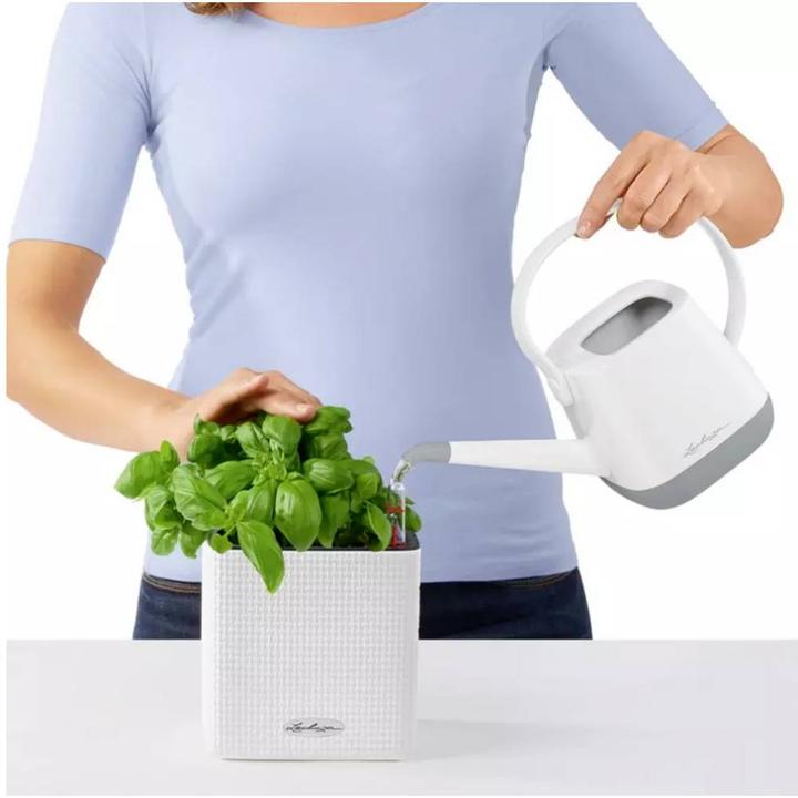 Image du produit Lechuza Couleur du cube (14 x 14 x 13.50 cm)