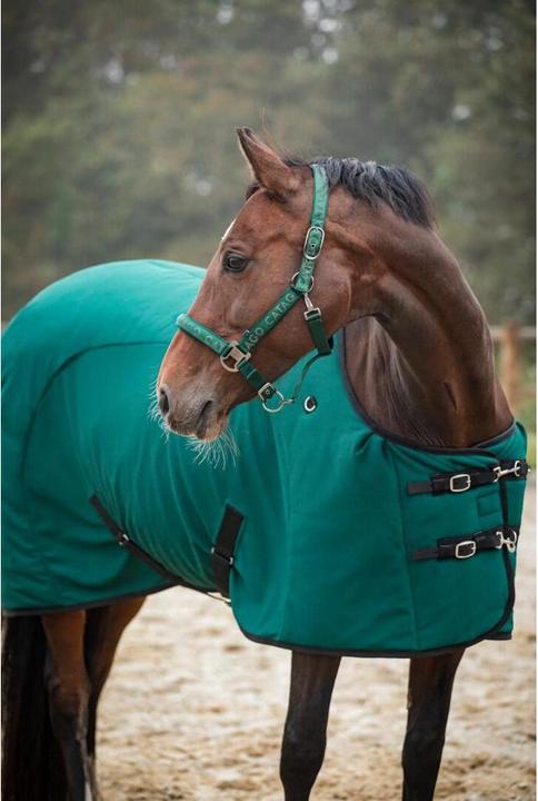 Produktbild Catago FIR-Tech (135 cm)