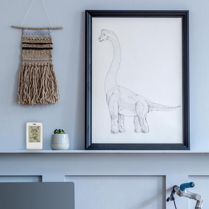 Produktbild TFA Thermo-Hygrometer