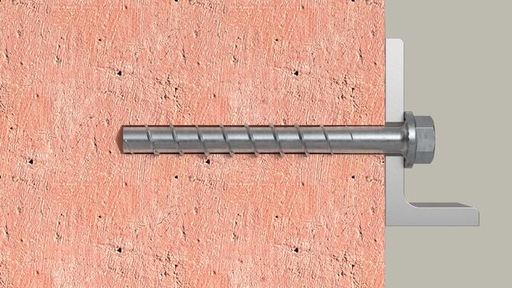 Actual product image Fischer 558227 (10 Screws per piece)
