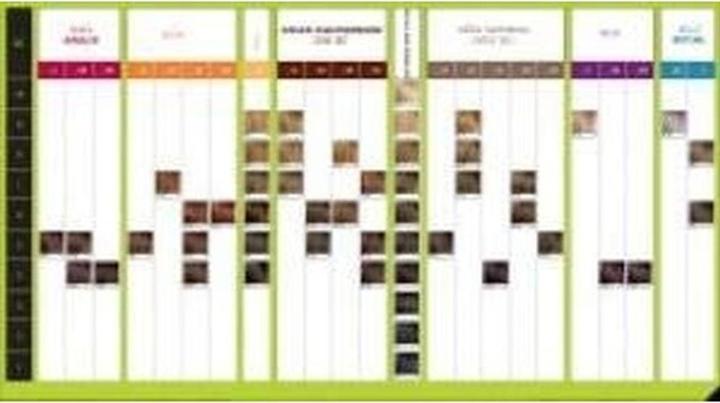 Image du produit L'Oréal Professionnel Inoa (Mer d'Iris, Marron clair, Rouge)