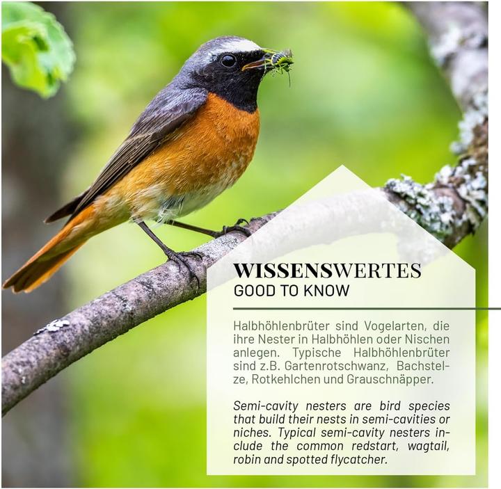 Immagine prodotto Wildlife home Nistkasten Halbhöhle-Set für Vögel (2 Stück)