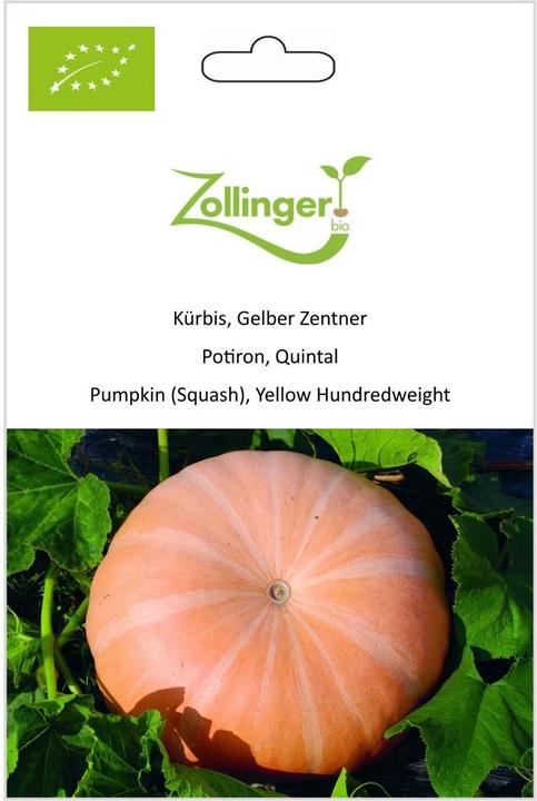 Actual product image Zollinger Bio Pumpkin, Yellow Centner