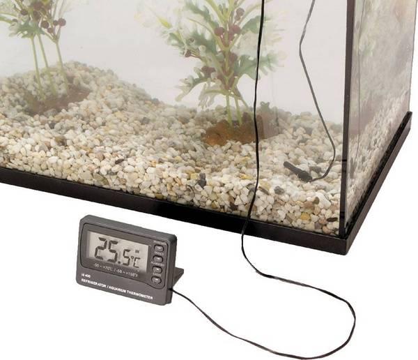 Image du produit EBI Thermomètre numérique avec alarme