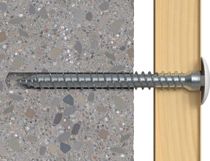 Image du produit Fischer 532913 (100 Vis par pièce)