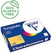 Image du produit Clairefontaine Papier à copier Trophee A3 120g/qm VE=250 feuilles jaune doré (120 g/m², A3)