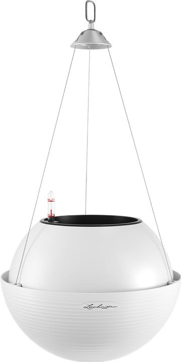 Lechuza Bola Color 32 (32 x 25 cm)