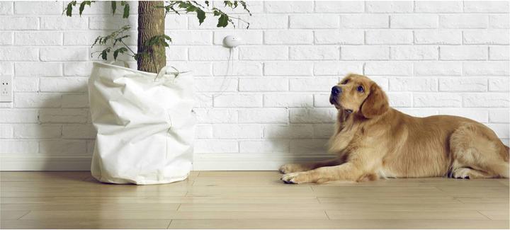 Actual product image Lifesmart LS064 Smart Home Water Sensor HomeKit