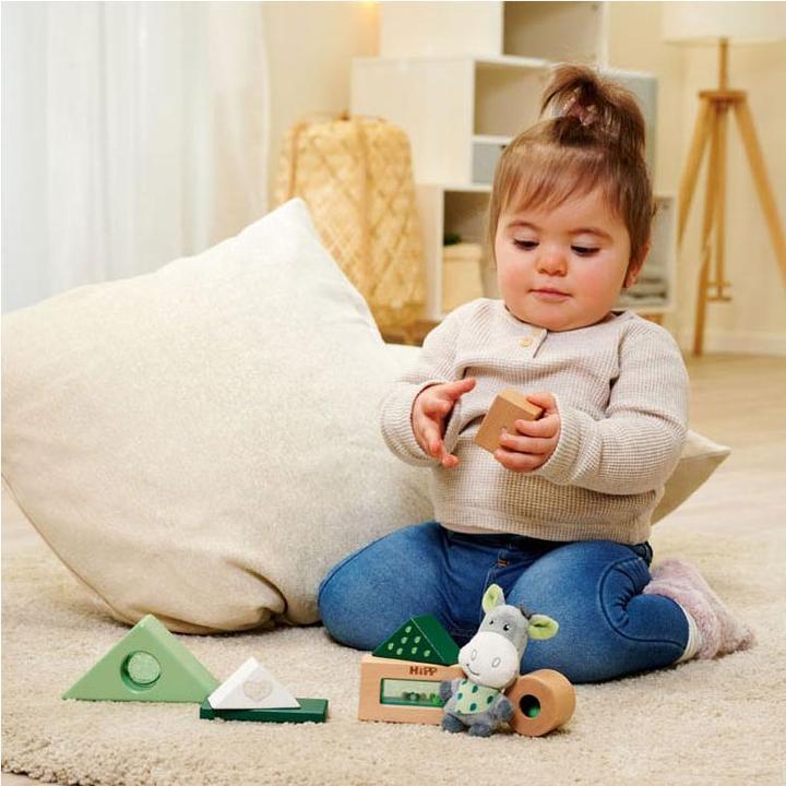 Actual product image Eichhorn Baby HiPP Sound Building Blocks