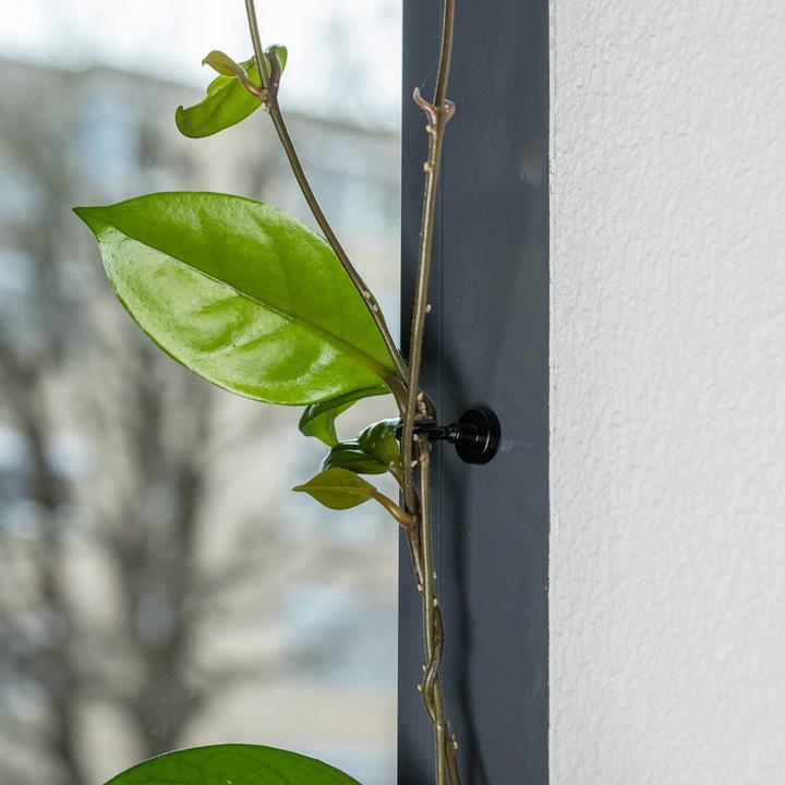 Produktbild Supermagnete Hakenmagnet (1x)