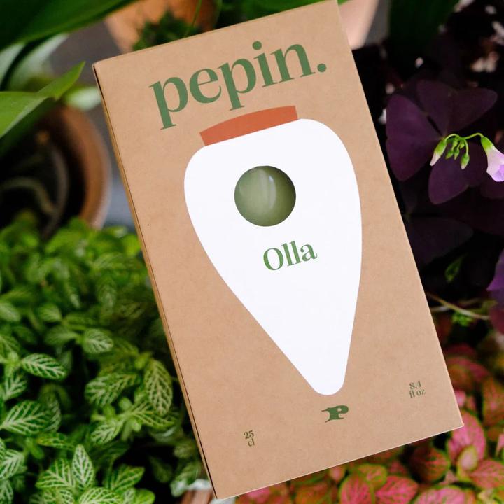 Image du produit Pepin Olla Selbstbewässerungssystem (Cône d'argile)