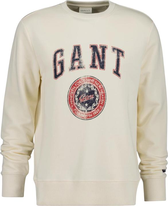 Actual product image GANT Graphic (M)