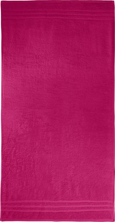 Fuchsia, Roses
