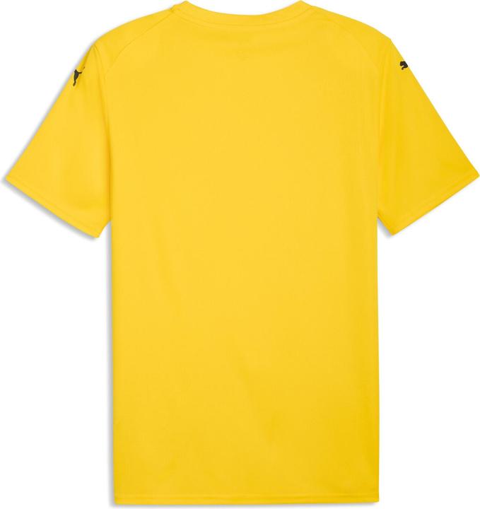 Produktbild Puma teamFINAL Graphic Jersey (S)