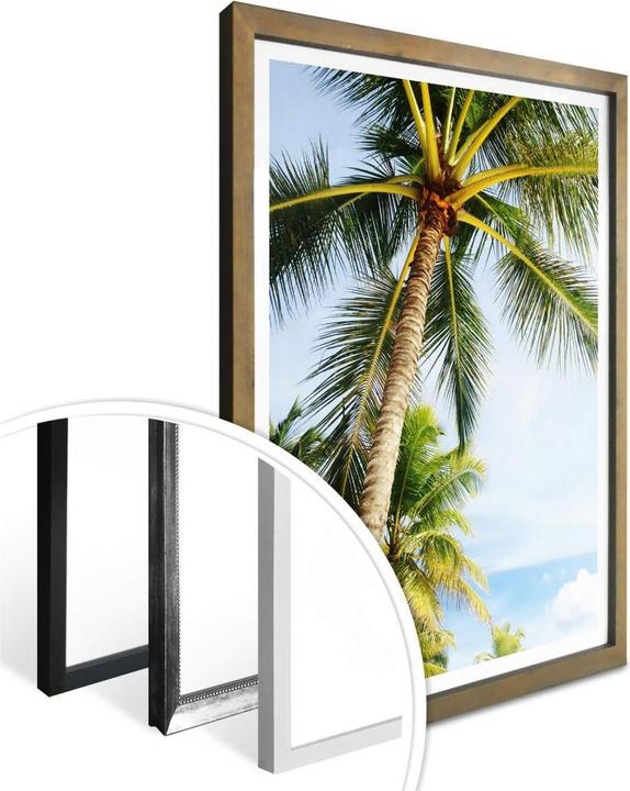 Image du produit Trenddeko Palms 07 (40 x 50 cm)