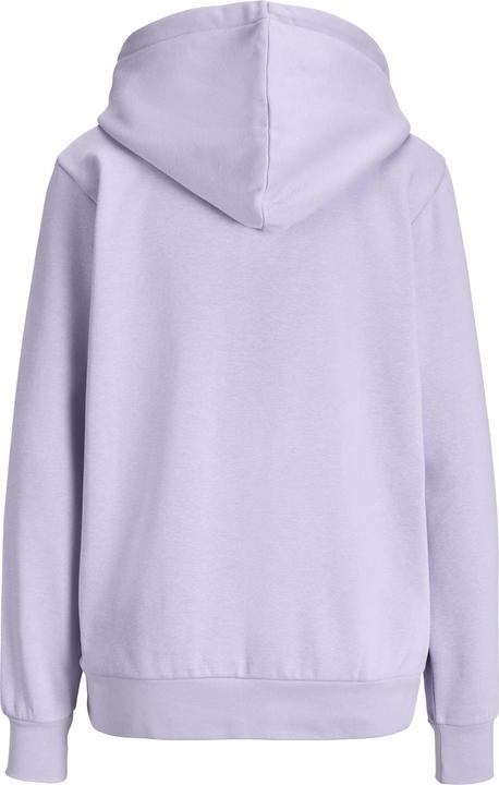 Image du produit JJXX Jxabbie Rlx Ls Every Hood Swt Noos (L)