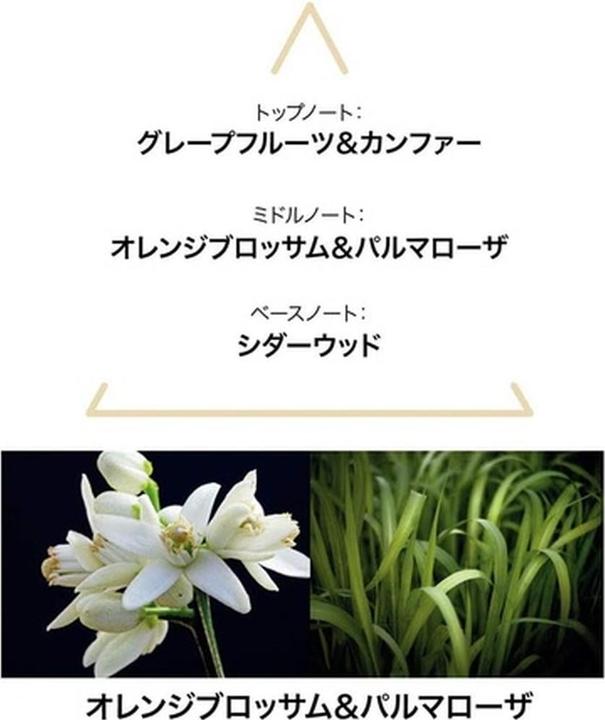 Produktbild Le Couvent Botanical Cologne Aqua Mysteri EDT 100 ml (Eau de Cologne, 100 ml)